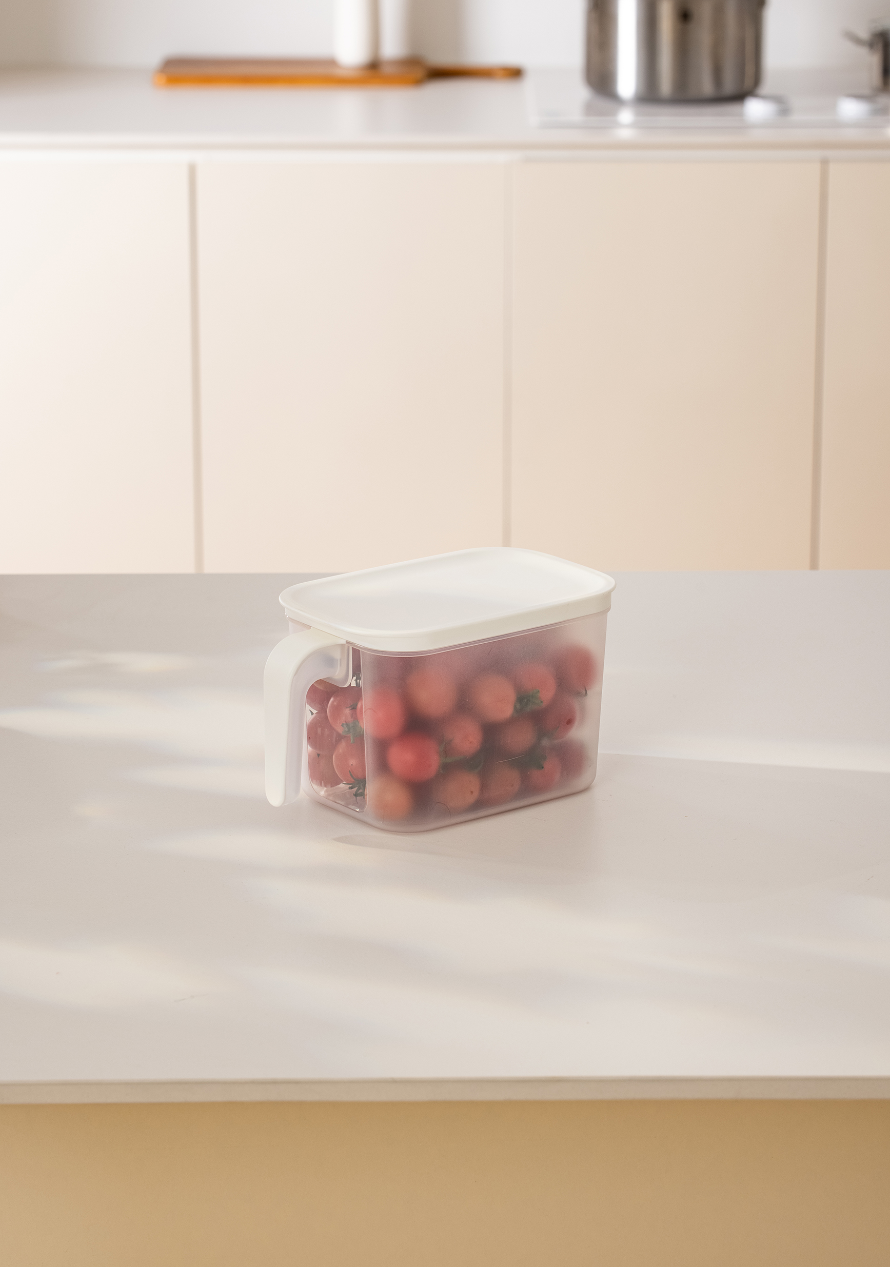 Fridge Storage Container