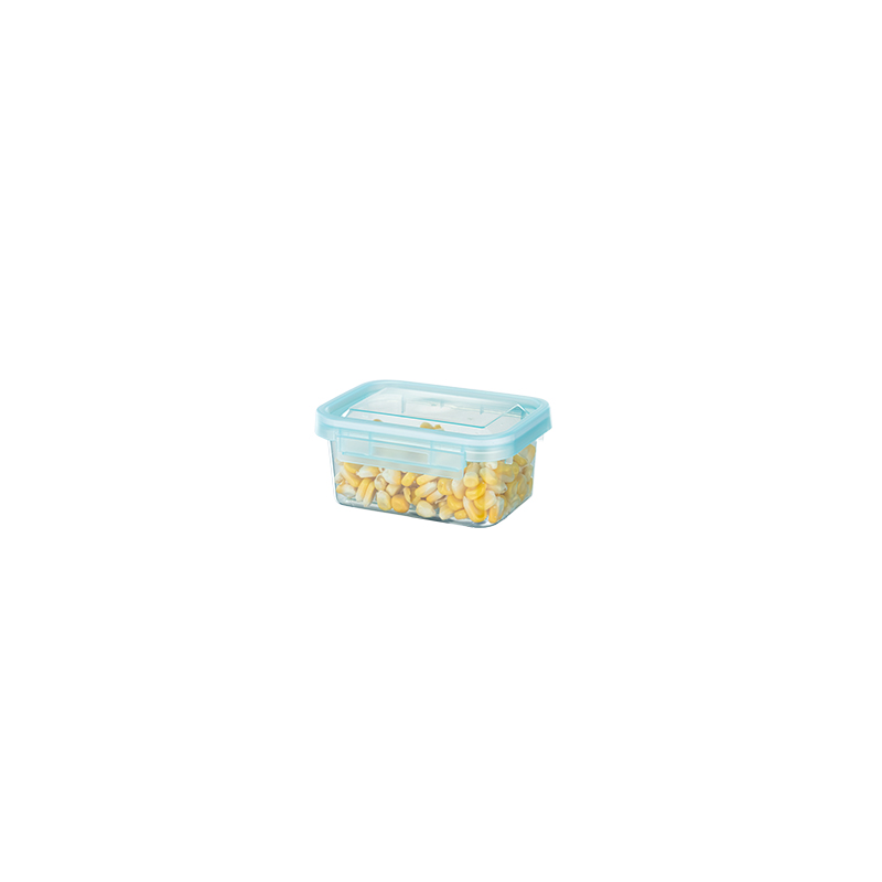 Food storage container 0.3L