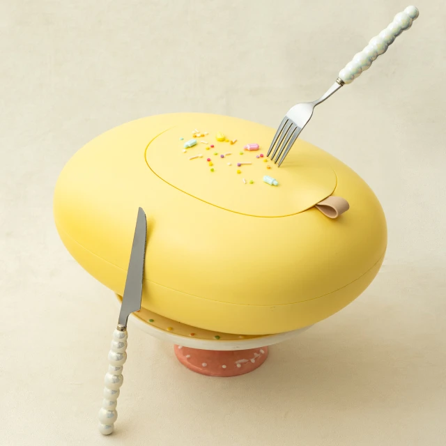 Rice & Flour Container